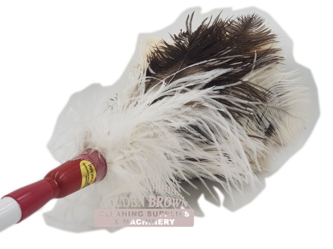 Feather Duster 8 Ostrich C.S.M. Genuine Expendable Handle F8EXT